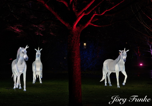 Winterlichter Palmengarten Frankfurt am Main 2025/26