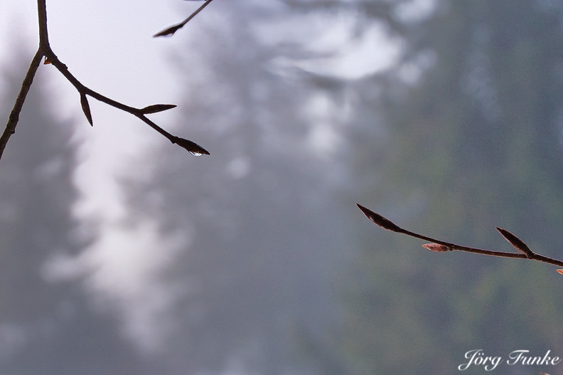 A7309540_2.jpeg